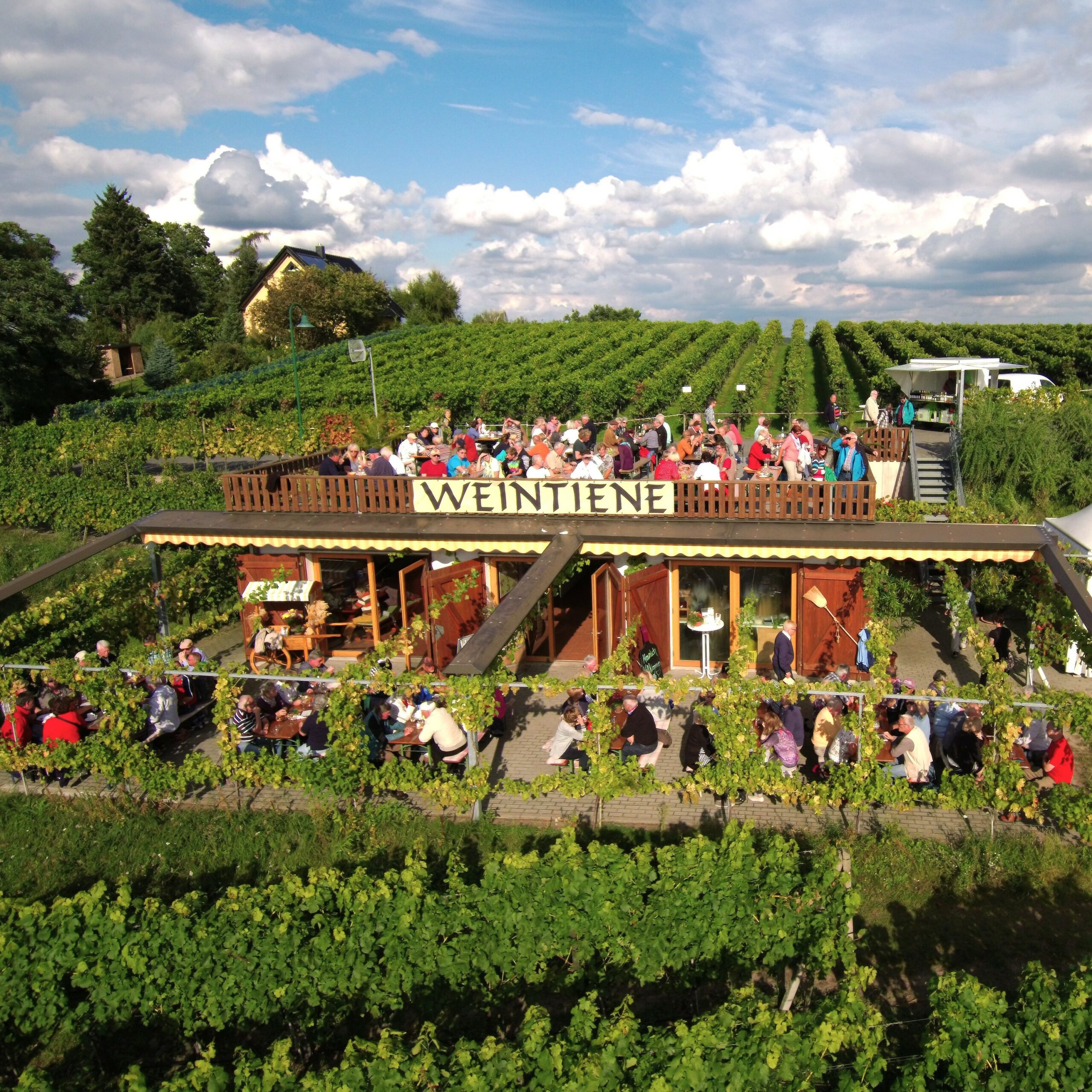 Weintiene – Weinbau Dr. Lindicke