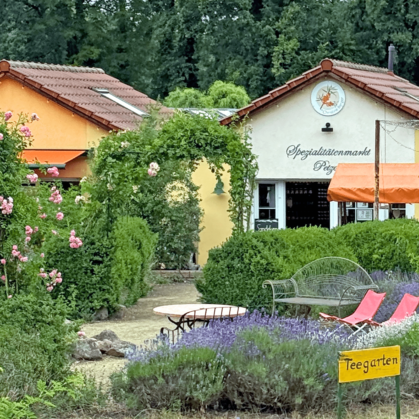 Sanddorn-Garten Petzow